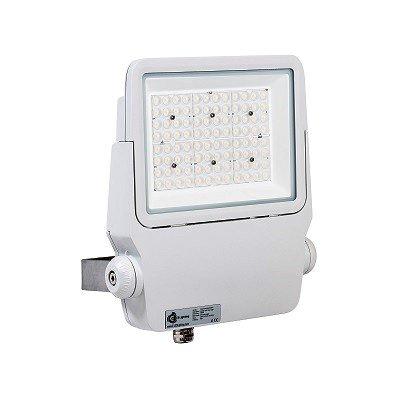 Marine LED Floodlight